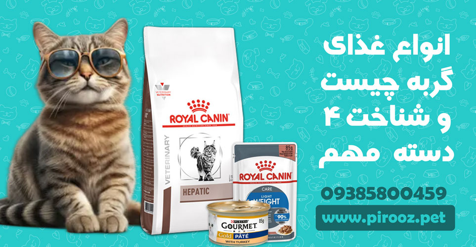 انواع غذای گربه چیست و شناخت 4 دسته ی مهم