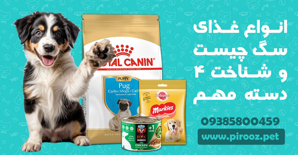 انواع غذای سگ چیست و شناخت 4 دسته ی مهم