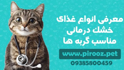 معرفی انواع غذای خشک درمانی مناسب گربه ها، پت شاپ پیروز، پیروز پت، پتشاپ پیروز