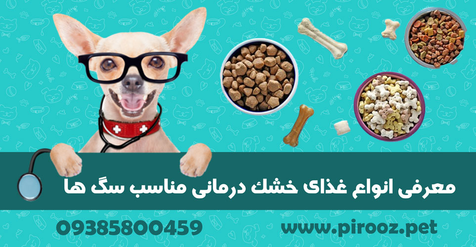 معرفی انواع غذای خشک درمانی مناسب سگ ها، پت شاپ پیروز، پیروز پت
