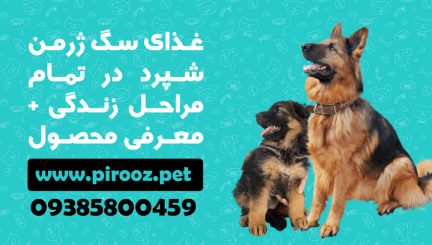 غذای سگ ژرمن شپرد در تمام مراحل زندگی + معرفی محصول، پت شاپ پیروز