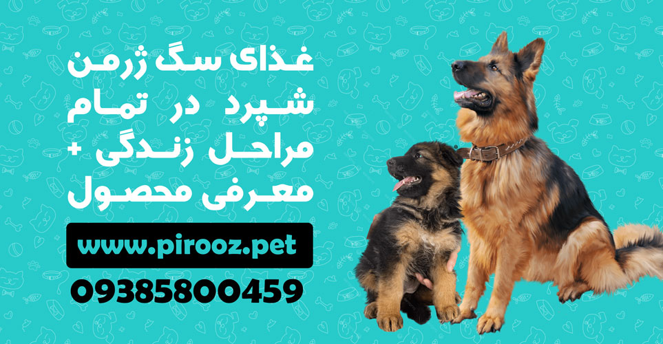 غذای سگ ژرمن شپرد در تمام مراحل زندگی + معرفی محصول، پت شاپ پیروز