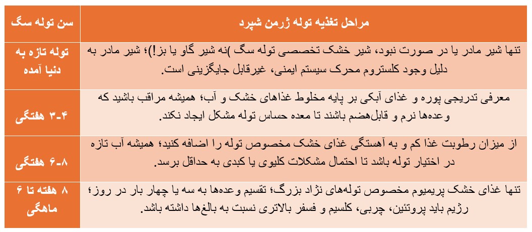 مراحل تغذیه توله ژرمن شپرد، پت شاپ پیروز
