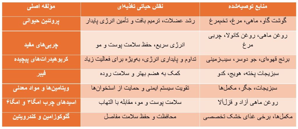نیازهای تغذیه‌ای ژرمن شپرد در یک نگاه، زپت شاپ پیروز